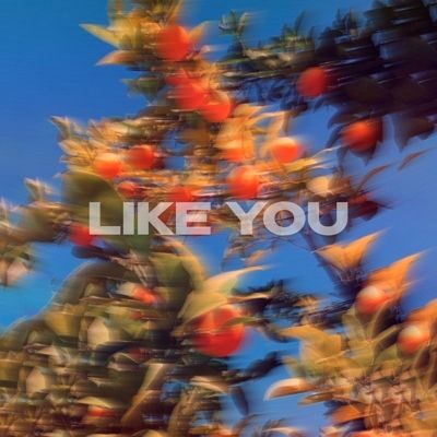Обложка: Like You